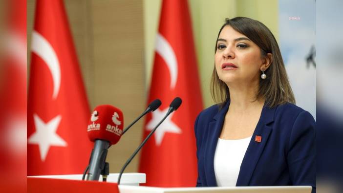 CHP'li Taşcıer'den Erdoğan'a doğum oranları tepkisi: Rejim krizi