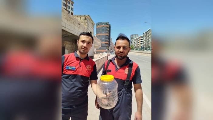 Şanlıurfa'da mutfakta yılan paniği