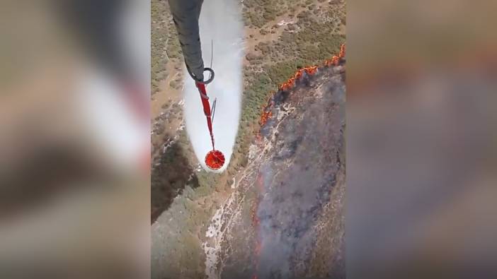 İzmir Foça'da yangın: Alevler havadan ve karadan müdahale ediliyor