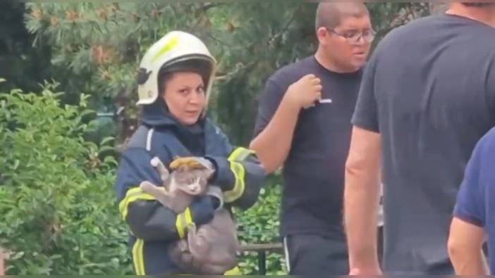 Bursa'da çatı katı yangınında kedi kurtarıldı
