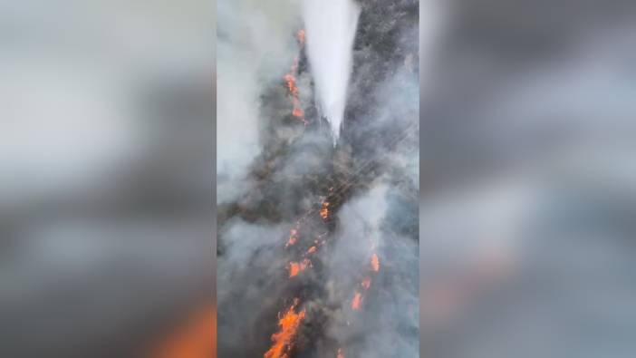 Urla'da makilik yangını: Ekipler müdahale ediyor