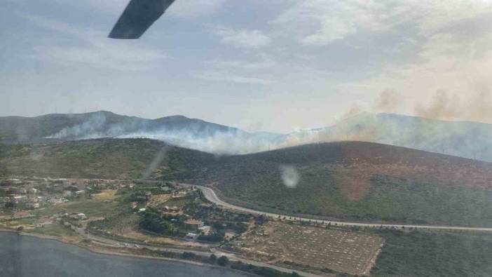Urla'da makilik yangınına müdahale sürüyor