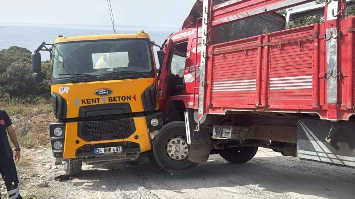 Bodrum'da beton mikseriyle kamyon arasında kalan Aslan Akçakale hayatını kaybetti