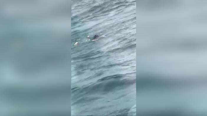 İstanbul Boğazı'nda vapurdan düşen çocuk kurtarıldı