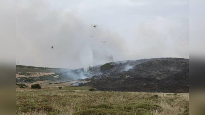İzmir'de iki yangın kontrol altına alındı