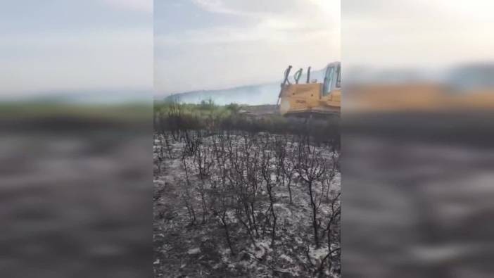 İzmir Foça’daki yangın kontrol altına alındı