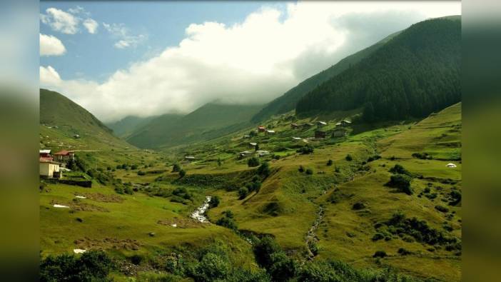 Prof. Dr. Tevfik Özlü'den kalp hastalarına yayla uyarısı: Oksijen eksikliği riski
