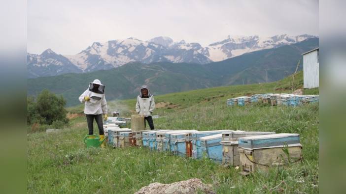 Yüksekova'da 27 yıldır bal üreten çift: 'Buranın doğasına aşık olduk'