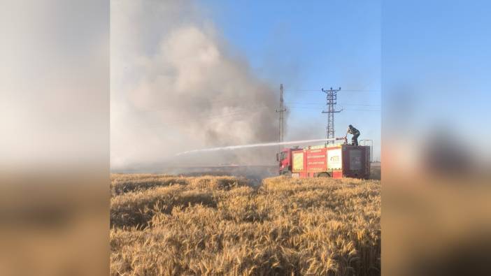 Mardin'de buğday tarlalarında yangın: 155 dönüm alan zarar gördü