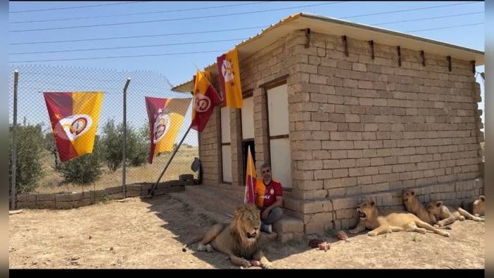 Diyarbakırlı iş insanı Ahmet Akbey, Galatasaray'ın şampiyonluğunu aslanlarıyla kutladı