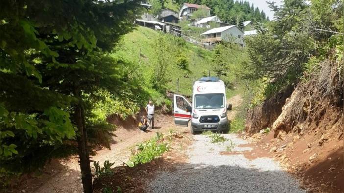 Akyazı'da kamyonet şarampole yuvarlandı: Sürücü hayatını kaybetti