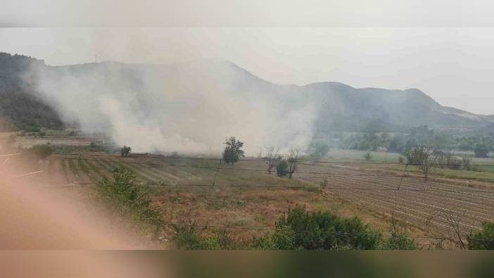 Osmaneli'nde anız yangını büyümeden söndürüldü