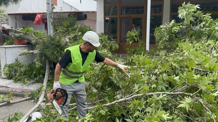 Turgutlu'da şiddetli rüzgar ağaçları devirdi: Park halindeki araç hasar gördü