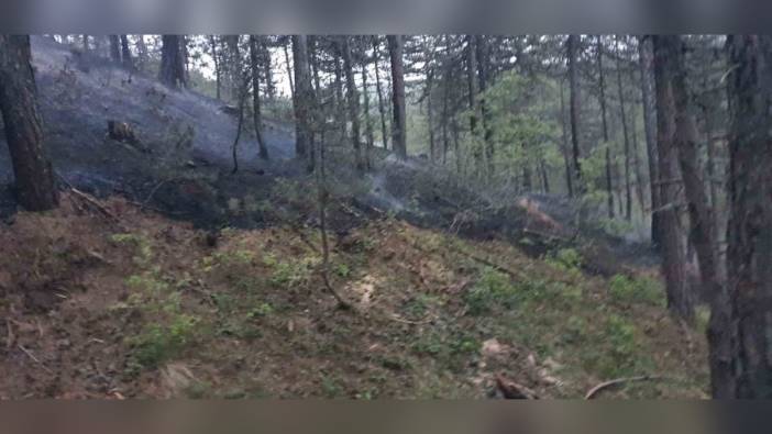 Afyonkarahisar'da yangın: 20 bin metrekarelik alan küle döndü