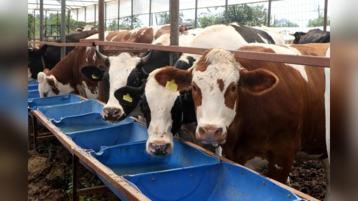 TÜKONFED Siber Güvenlik Komisyonu Başkanı Baki'den uyarı: Sahte kurban bağış sitelerine dikkat