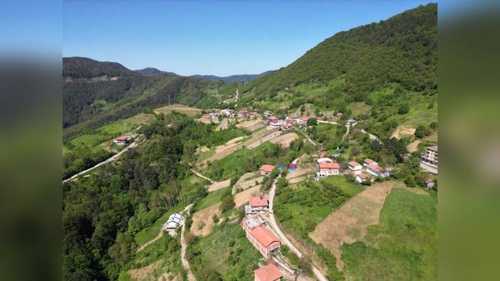 Küre Dağları Milli Parkı bahar renkleriyle büyüleyici manzaralar sunuyor