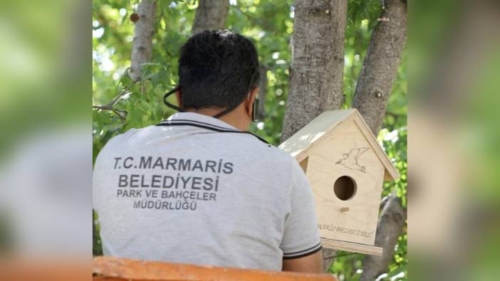 Marmaris Belediyesi'nden yangın sonrası doğaya destek: El yapımı kuş evleri ağaçlara yerleştiriliyor