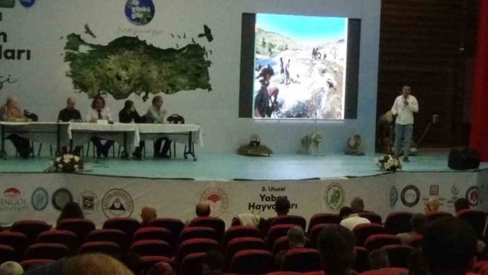 Van Gölü'ndeki inci kefalinin korunması için kültürel miras vurgusu