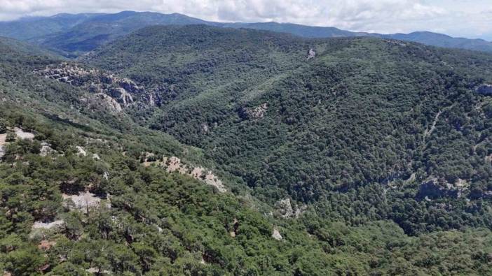 Çanakkale'de kaybolan İl Müdür Yardımcısı Adil Bartu için 100 kişilik ekip seferber oldu