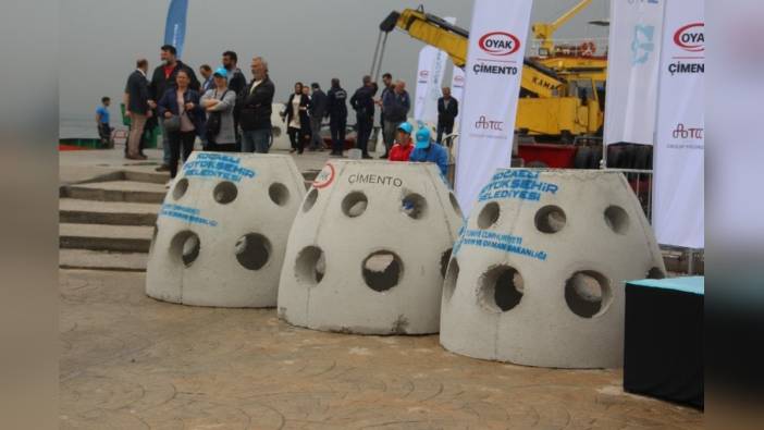 Kocaeli Büyükşehir Belediyesi, İzmit Körfezi'ne 6 bin balık ve 100 yapay resif bıraktı