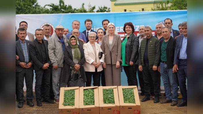 Bilecik Belediyesi'nden çiftçilere 42 bin fide desteği