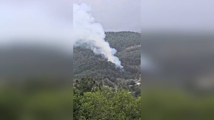 Antalya'nın Kumluca ilçesinde orman yangını çıktı