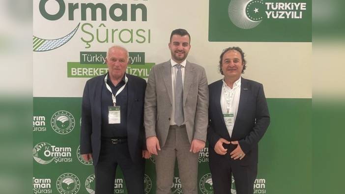 TAPSİAD ve TEPAL'dan Tarım ve Orman Bakanlığı'na çağrı: Ahşap ambalaj sektörü destek bekliyor