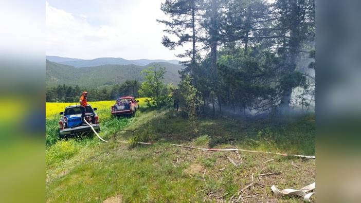 Mudurnu'da yıldırım düşmesi sonucu orman yangını çıktı