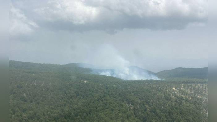 Nazilli'de orman yangını: 5 hektar alan zarar gördü