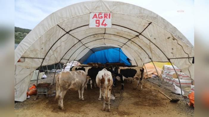 Çankaya Belediyesi, Yeşilkent kurban satış ve kesim alanını hazırladı