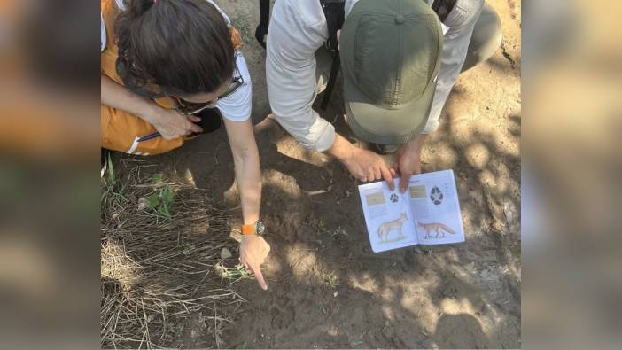 Diyarbakır Büyükşehir Belediyesi'nden orman anaokulları giriş kursu