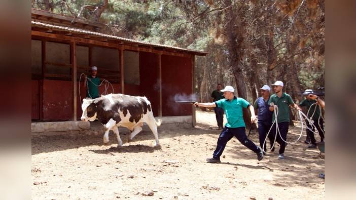 Gaziantep'te kurban yakalama timi göreve hazır