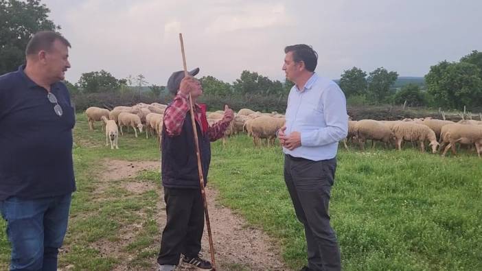 Edirne'de küçükbaş hayvan üreticileri maliyet artışından şikayetçi