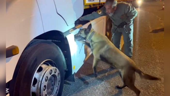 Tekirdağ'da TIR'da 5 kilo 507 gram skunk ele geçirildi