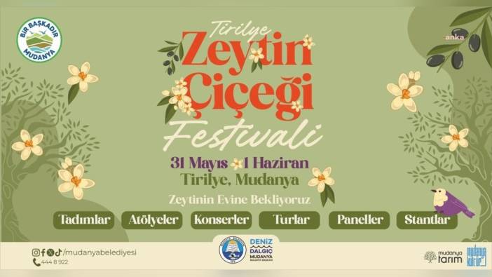 Mudanya Belediyesi'nden Tirilye Zeytin Çiçeği Festivali: 31 Mayıs - 1 Haziran'da