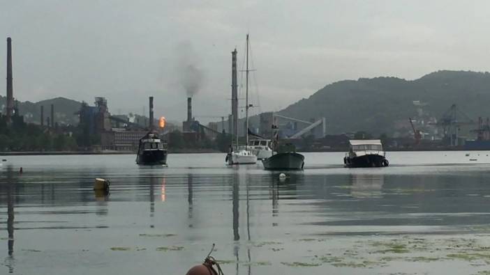 Erdemir'den hava kirliliği iddiası: Çevre gönüllülerinden 'öldürmeye teşebbüs' suç duyurusu