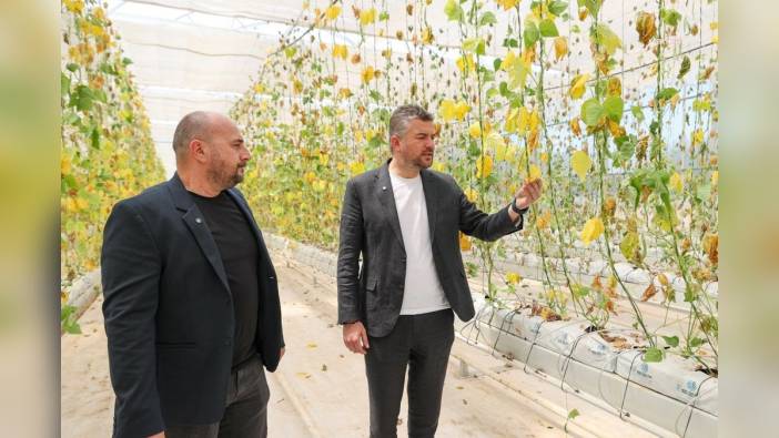 Buca Belediyesi'nden dayanışma çağrısı: 28 Mayıs'ta toplu fide dikimi