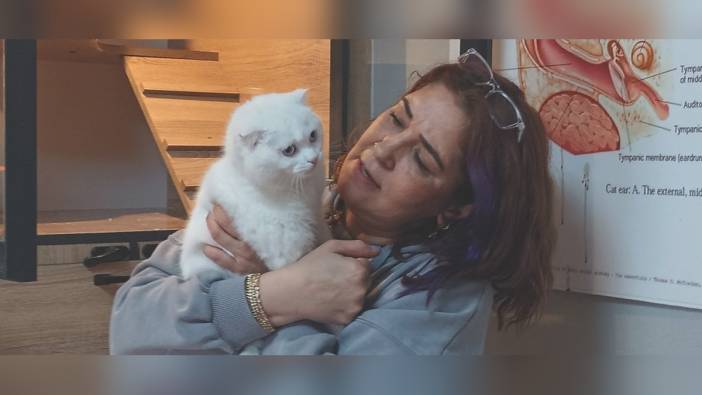 İslahiye'de veteriner hekim Yıldızgil, 750 sokak hayvanını sahiplendirdi