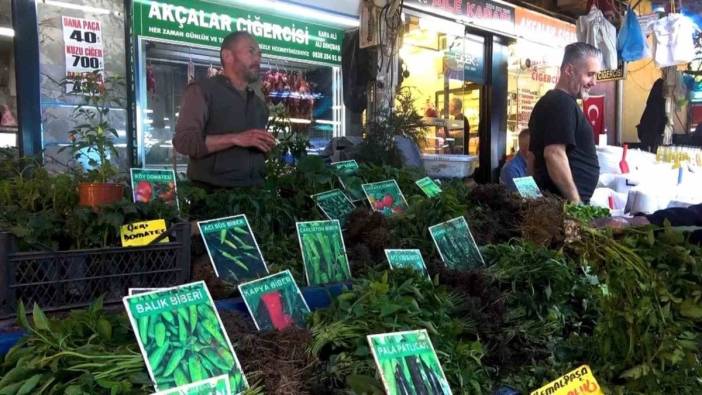 Bursa'da fide fiyatları: Tekli 20, demet 40 lira