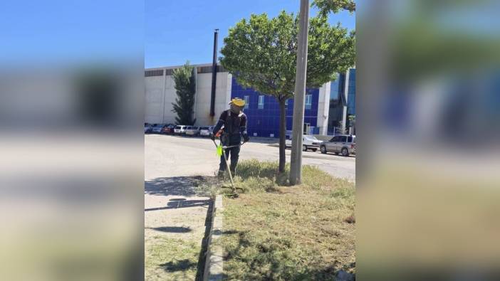 Afyonkarahisar OSB'de yeşil alan çalışmaları ve kaldırım yenilemesi