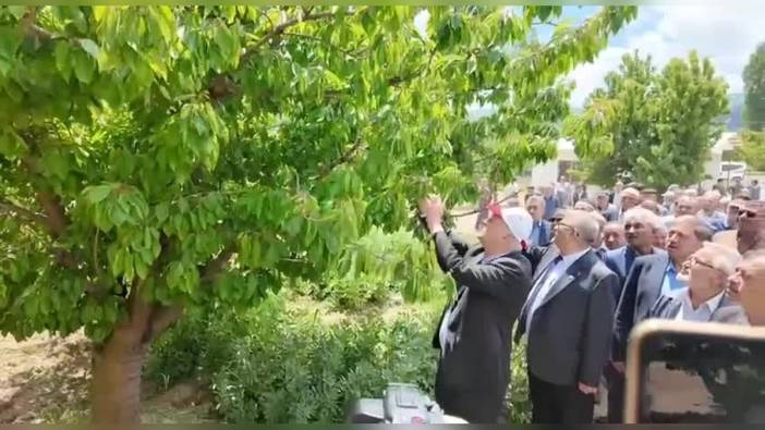 TZOB Başkanı Bayraktar: 65 ilde don afeti yaşandı