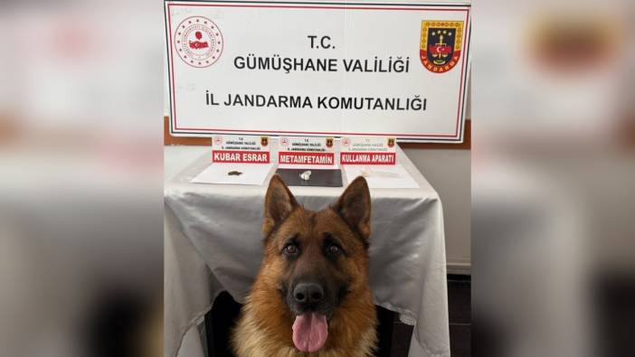 Gümüşhane'de uyuşturucu operasyonu: 2 gözaltı