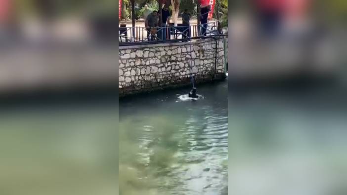 Antalya'da kimliksiz Suriyeli, polis görünce dereye atladı