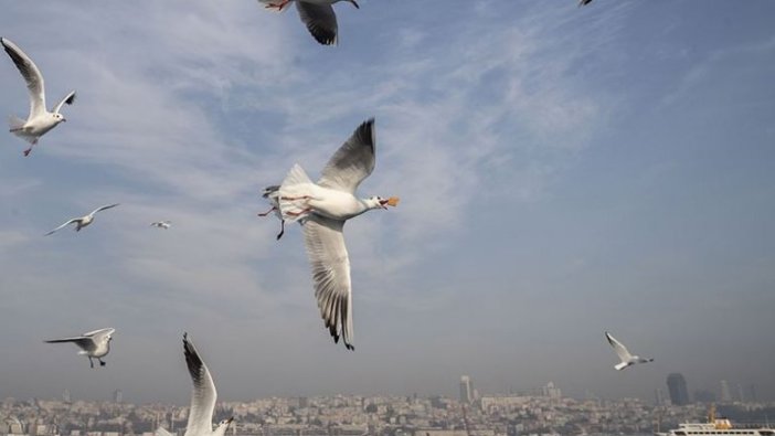 Marmara Bölgesi'nde az bulutlu ve açık hava bekleniyor