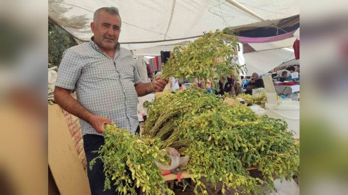 Kahramanmaraş'ta yeşil nohut tezgahlarda yerini aldı
