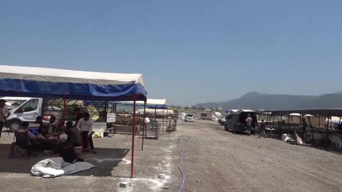 Osmaniye kurban pazarında durgunluk: Besiciler zararına satış yapıyor