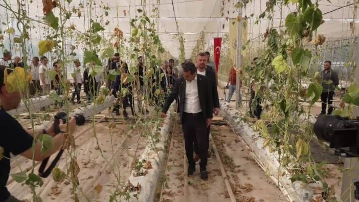 Buca Belediyesi serasına sabotaj girişimi sonrası toplu fide dikimi