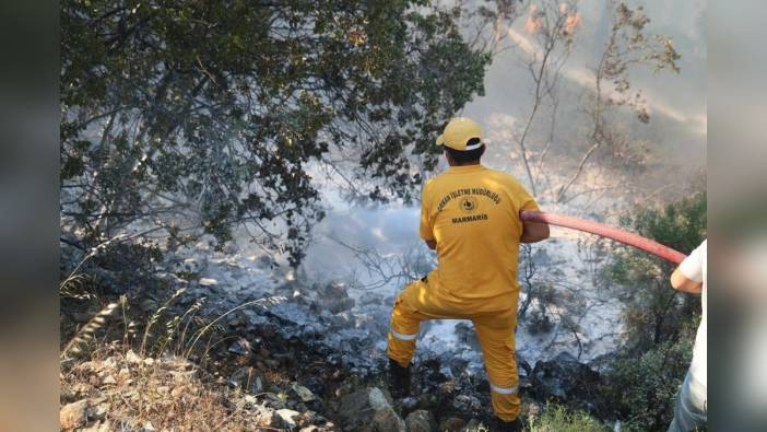 Marmaris'te orman yangını kontrol altına alındı