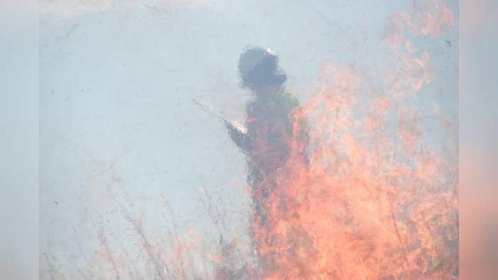 Bodrum'da ot yangını söndürüldü