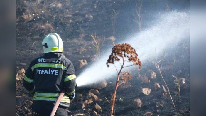 Bodrum'da otluk alan yangını kontrol altına alındı